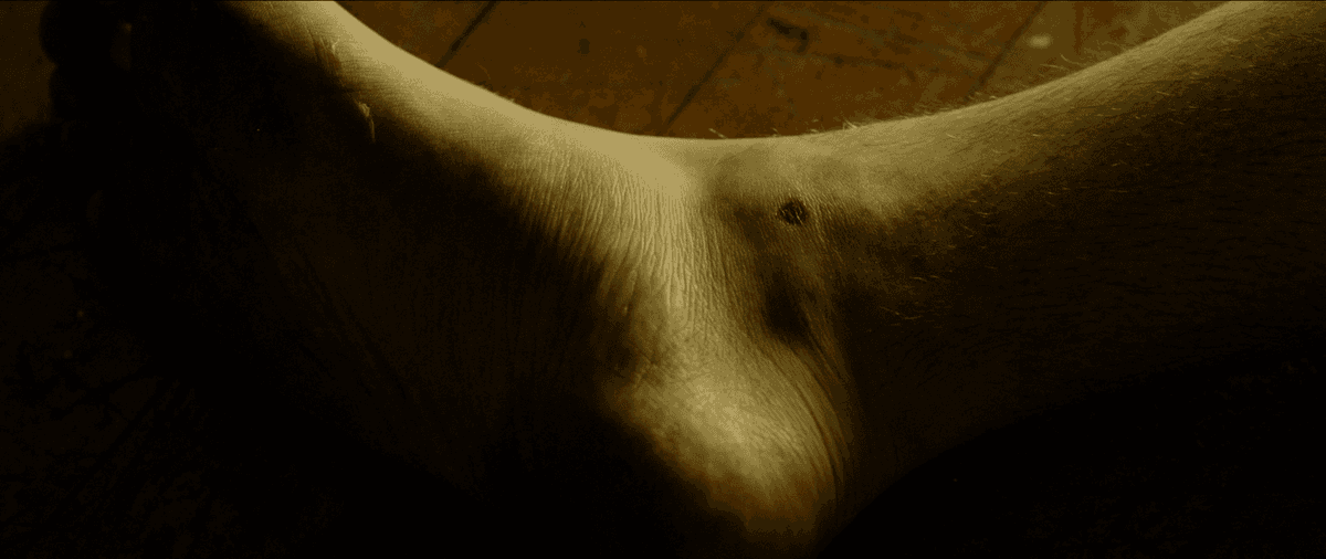 Butcher still 6
